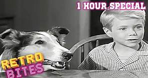 Lassie | 1 Hour Special | Full Episodes
