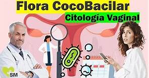 Flora Cocobacilar en la Citología 🩺 | 🔬🌸 Salud Vaginal