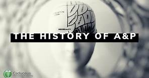 The History of Anatomy