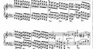 Piano Concerto no. 1 - Pyotr Ilyich Tchaikovsky [with score - 1/2]