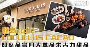 龍島朱古力café 「LUCULLUS CACAO」 即席品嘗四大單品朱古力甜品