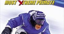 MXP: Most Xtreme Primate streaming: watch online
