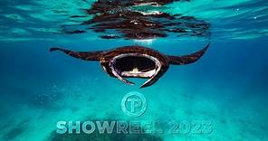 Tom Park SHOWREEL 2023 | Underwater Cinematographer & Director