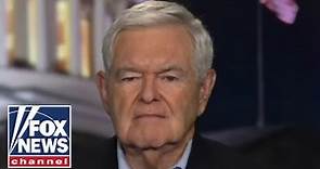 Newt Gingrich: Dems are dangerously close to causing this disaster