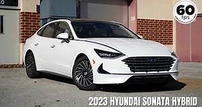 2023 Hyundai Sonata Hybrid Review | 50+ MPG's!