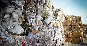 ¿Por qué debemos reciclar papel?