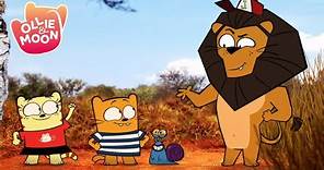 The Lion Whisperer 🦁🦁🦁 | Ollie and Moon English | Full Episode | Season 1 | Cartoons for kids