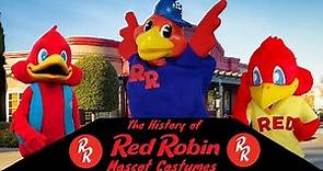 The History Of The Red Robin Mascot