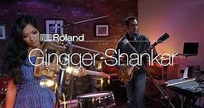 Roland Sessions: Gingger Shankar “Radio”