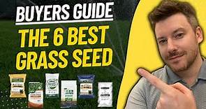 BEST GRASS SEED: Top 6 Grass Seeds (2023 Buying Guide)