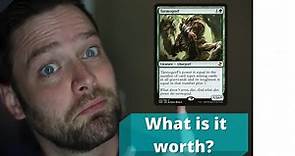 How do I identify a Magic Card? | Card value and set identification.