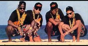 2 Live Crew - The Roof is on Fire