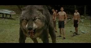 Transformation Jacob to Wolf | "The Twilight Saga: New Moon" \ HD