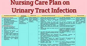 NCP 23 Nursing care Plan on Urinary Tract Infection/ UTI/ Genitourinary Disorders