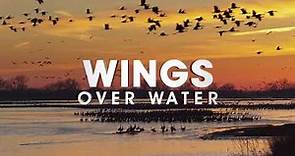 Wings Over Water Trailer - Coming Soon