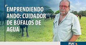 #EMPRENDIENDOANDO | Cuidador de búfalos de agua en Tabasco