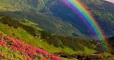 La vita è come un arcobaleno, ogni... - Il lato in fiore