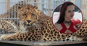 Horrific attack: German model Jessica Leidolph, 36, injured by Leopard in photoshoot gone viral