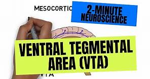 2-Minute Neuroscience: Ventral Tegmental Area (VTA)