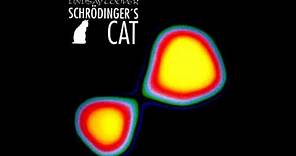 Lindsay Cooper – Schrödinger's Cat [Full Album]