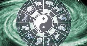 Yin and Yang Chinese Astrology: What signs are compatible in the zodiac?