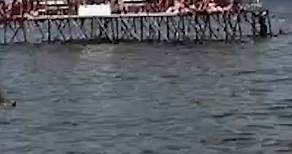 Video shows a pier collapsing at the University of Wisconsin-Madison's Memorial Union Terrace Monday, sending dozens into the water. https://abc7ne.ws/45ErHE7 | ABC7 News