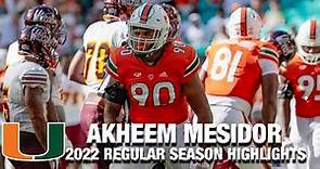 Akheem Mesidor 2022 Regular Season Highlights | Miami DL
