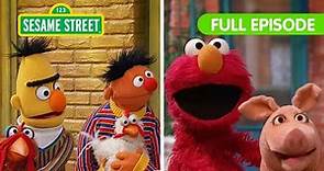 Elmo Finds the Missing Animals with Bert & Ernie | Sesame Street Full Episode