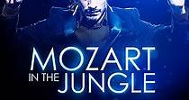 Mozart in the Jungle - streaming tv show online