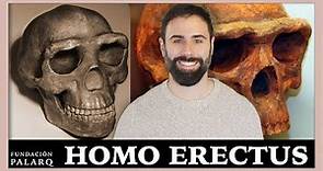 🔹 HOMO ERECTUS | Las principales especies de homininos y etapas de la prehistoria