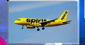 Spirit Airlines flight makes emergency landing at Detroit Metro Airport