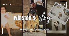 Winston the Mastiff's First Time Vlogging | The Giant Dog Series