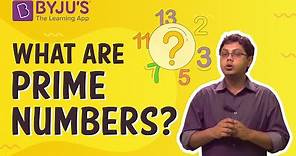 Prime Numbers - Introduction With Examples