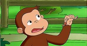 George Plays with Worms! | Curious George | Mini Moments