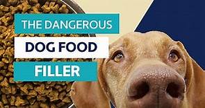 The Dangerous Dog Food Ingredient