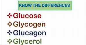 Glucose, Glycogen, Glucagon and Glycerol