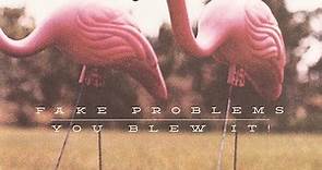 Fake Problems / You Blew It! - Florida Doesn't Suck