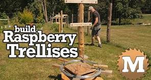 Build a Raspberry Trellis for the Garden
