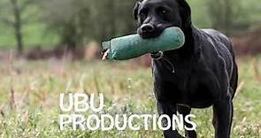 Ubu Productions logo Package (1982-2002) (2023) Present