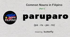 COMMON NOUNS in Filipino 1 | English-Tagalog Dictionary | Basic Filipino Words | The Philippines