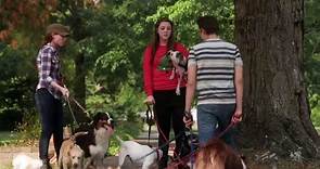 12 Dog Days Till Christmas | movie | 2014 | Official Trailer