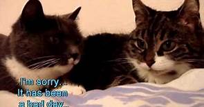The two talking cats with subtitles!