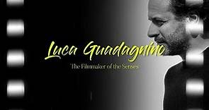 Luca Guadagnino: The Filmmaker of the Senses | Impactful Pictures
