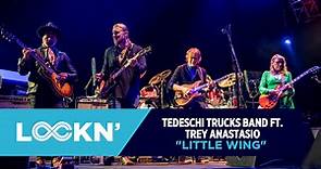 "Little Wing" | Tedeschi Trucks Band ft. Trey Anastasio | 8/24/19 | LOCKN'