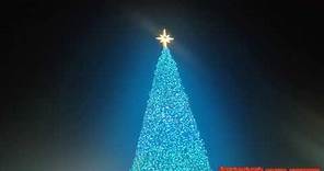 西九龍文化中心海濱長廊晚上有彩色燈光巨型聖誕樹香港冬季繽紛巡禮🎄🎄🎄🎄
