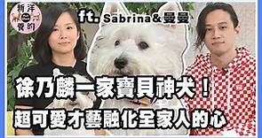 徐乃麟淚崩嫁女兒，Sabrina帶一家人的寶貝神犬曝光！超可愛才藝融化全家人的心【新洋養的】