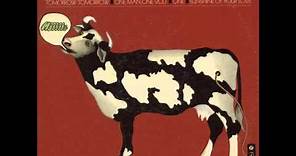 Mike Melvoin ‎-- The Plastic Cow Goes Moooooog [1970 Full Length Album]