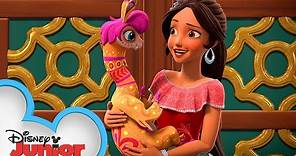 When the Royal Family's Away 👑| Discovering the Magic Within | Elena of Avalor | Disney Junior