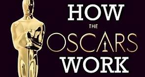 How The Oscars Work: From Nominations to Best Picture Voting