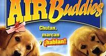 Air Buddies - película: Ver online completa en español